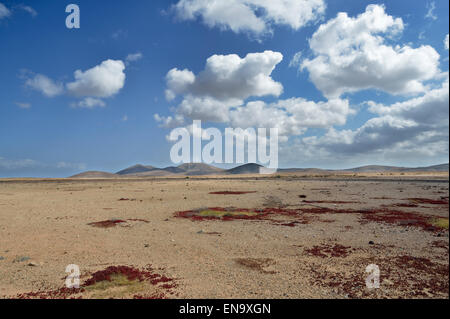 Kanarischen Inseln, Fuerteventura, Landschaft Stockfoto