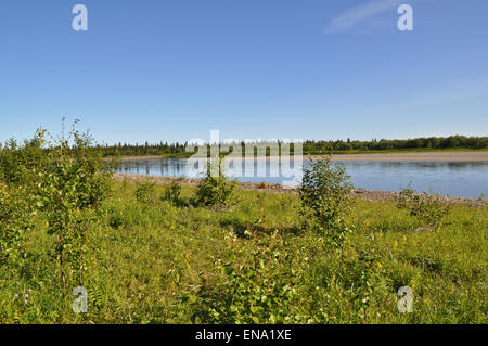 Die polaren Ural, die untere Oberlauf des Flusses Lemva, Republik Komi, Russland. Stockfoto