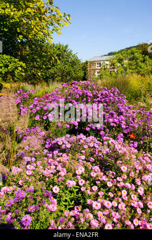 Garten Hermannshof, Weinheim, Baden-Württemberg, Deutschland Stockfoto