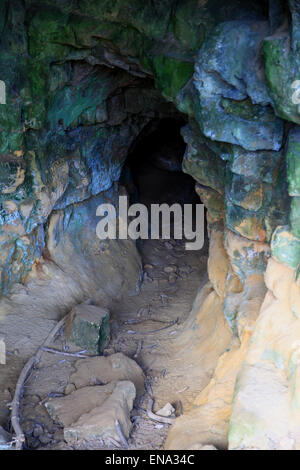 Creswell Crags ist ein Kalkstein-Schlucht mit einer Wabe der Höhlen, die während der letzten Eiszeit besetzt waren. Stockfoto