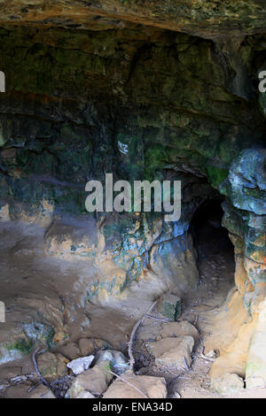 Creswell Crags ist ein Kalkstein-Schlucht mit einer Wabe der Höhlen, die während der letzten Eiszeit besetzt waren. Stockfoto