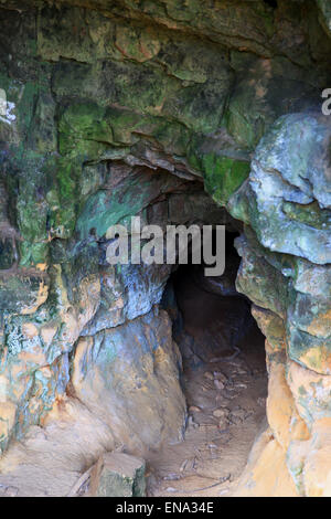 Creswell Crags ist ein Kalkstein-Schlucht mit einer Wabe der Höhlen, die während der letzten Eiszeit besetzt waren. Stockfoto