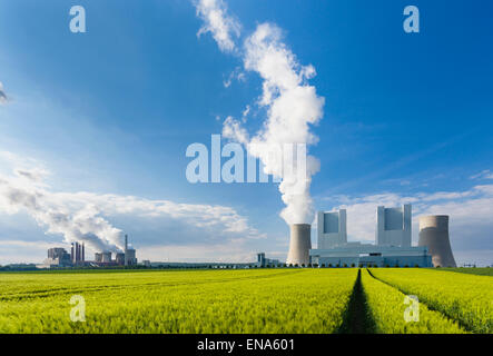 Ein glänzendes neues Braunkohle Kraftwerk hinter einem Roggenfeld mit Rad verfolgt führt es zu einem alten Kraftwerk im Hintergrund Stockfoto