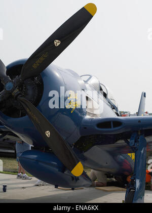 Ein Blue Angels Grumman F8F auf dem Display an der EAA Airventures Airshow, Oshkosh, Wisconsin. Stockfoto