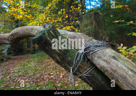 Holztor mit Seil umwickelt Stockfoto