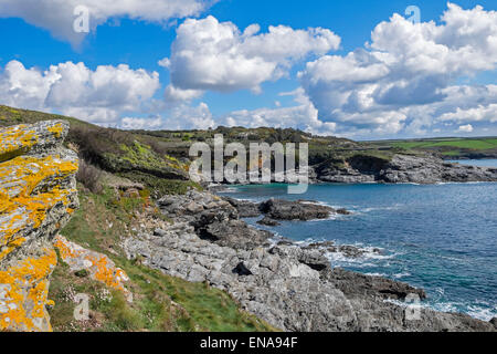 Prussia Cove in Cornwall, Großbritannien Stockfoto