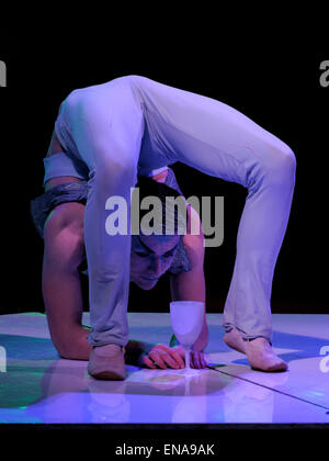 Darragh Meritt, Schlangenmensch, führt in die Niederlande National-Circus Stockfoto