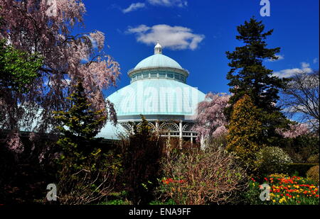 Bronx, New York: Enid Haupt Konservatorium an der New York Botanical Garden * Stockfoto