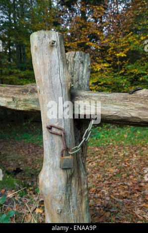 altes Holztor verschlossen mit einer Kette Stockfoto