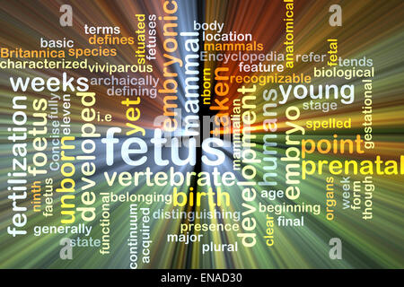 Hintergrund-Konzept Wordcloud Illustration des Fötus gleißenden Licht Stockfoto