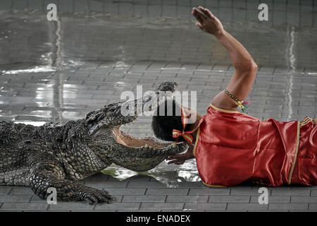 Halter mit seinem Kopf in das offene Maul eines Krokodils in Pattaya Crocodile show Thailand S. E. Asien Stockfoto