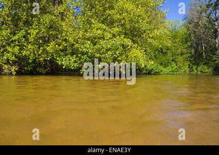 Alberche Flussufer in Toledo, Castilla La Mancha, Spanien Stockfoto