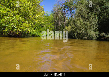 Fluss, Alberche Flussufer in Toledo, Castilla La Mancha, Spanien Stockfoto