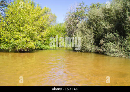 mediterrane Fluss, Alberche Flussufer in Toledo, Castilla La Mancha, Spanien Stockfoto