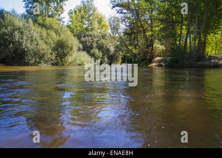 mediterrane Fluss, Alberche Flussufer in Toledo, Castilla La Mancha, Spanien Stockfoto