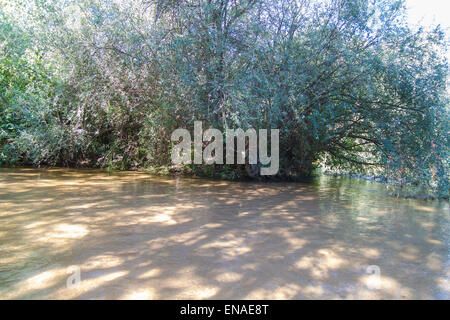 mediterrane Fluss, Alberche Flussufer in Toledo, Castilla La Mancha, Spanien Stockfoto