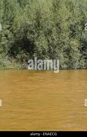 Alberche Flussufer in Toledo, Castilla La Mancha, Spanien Stockfoto