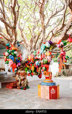 Wünschen Sie Baum und Schrein im Durgadevi Tempel, Anegundi.