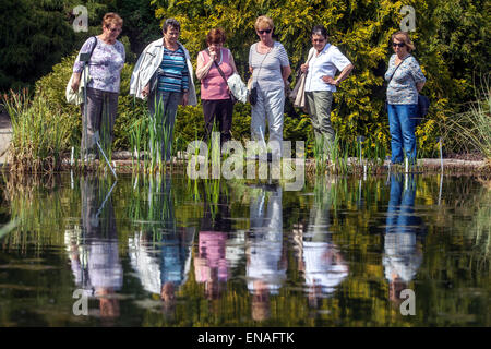 Sechs ältere Frauen im Botanischen Garten, Troja, Prag Tschechische Republik aktive Rentner beobachten die Wasserschildkröte, Senioren gruppieren sich zusammen Stockfoto