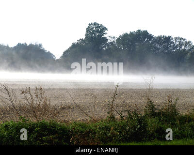 Morgennebel über die Felder in den sonnigen Herbsttag Stockfoto