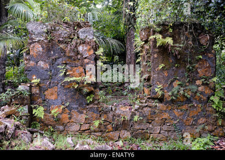 Wilde Vegetation bedeckt Ruinen einer Internat von Missionaren im Jahr 1876 errichtet, um die Kinder der befreiten Sklaven in der Mission Ruinen von Venn Stadt auf der Insel Mahe im Süd-westen der Morne Seychellois Nationalpark Republik der Seychellen liegt zu erziehen Stockfoto