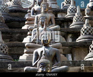 Buddha-Statuen am Gangaramaya Tempel, Colombo, Sri Lanka, Asien Stockfoto