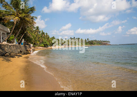 Sandigen Strand und Kokospalme Tropenholz geschwungene rund um eine Bucht, Mirissa, Sri Lanka, Asien Stockfoto