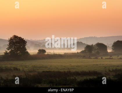 Am frühen Morgen auf dem Taw-Tal, Nord-Devon; Bauern Felder angrenzend an den Fluss Taw in den frühen Morgennebel Stockfoto