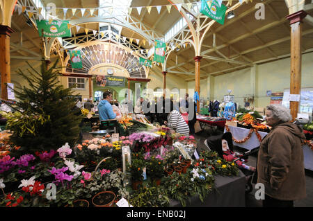 Weihnachten und Winter Blumen und Pflanzen zum Verkauf in Barnstaple Pannier Markt alten Farmers Market Stockfoto