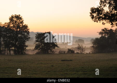 Am frühen Morgen auf dem Taw-Tal, Nord-Devon; Bauern Felder angrenzend an den Fluss Taw in den frühen Morgennebel Stockfoto