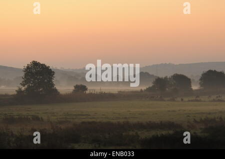 Am frühen Morgen auf dem Taw-Tal, Nord-Devon; Bauern Felder angrenzend an den Fluss Taw in den frühen Morgennebel Stockfoto