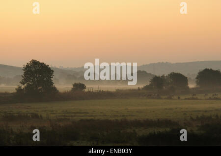 Am frühen Morgen auf dem Taw-Tal, Nord-Devon; Bauern Felder angrenzend an den Fluss Taw in den frühen Morgennebel Stockfoto