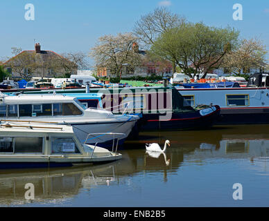 Narrowboats in der Marina auf Macclesfield Kanal, Macclesfield, Cheshire, England UK Stockfoto