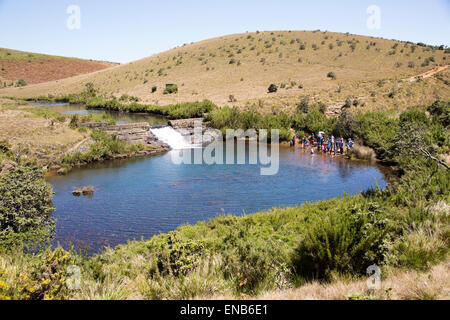 Wehr und Pool in Belihul Oya Fluss, Horton Plains Nationalpark, Central Province, Sri Lanka, Asien Stockfoto