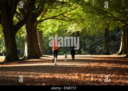 Eine Frau rennt vorbei Dogwalker unter einem Baum in der Nähe von Clifton unten in Bristol Stockfoto