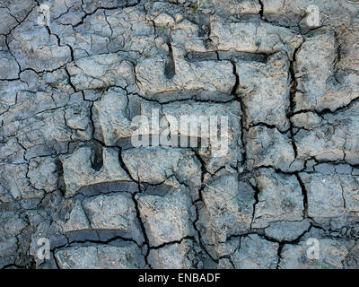 Trockene, rissige Erde in einem Bauern-Feld in der Nähe von Tasley, Bridgnorth, Shropshire Stockfoto