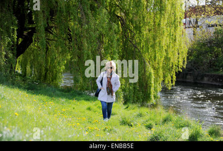 Darlington County Durham UK 1. Mai 2015 - eine Frau genießt das Frühlingswetter, während sie entlang des Flussufers Trauerweide Bäumen in Darlington Stadtzentrum Kredit geht: Simon Dack/Alamy Live News Stockfoto