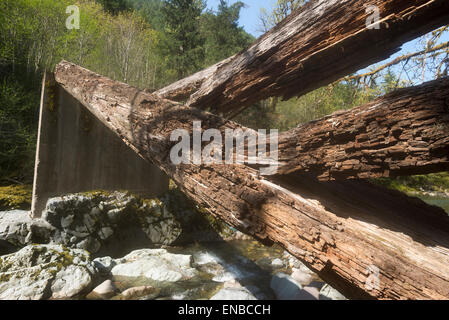Reduzierte Log Deck Strahl einer Brücke am alten Forststraße in Oregon. Stockfoto