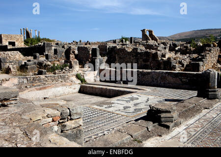 Volubilis, römische Ruinen, Marokko Stockfoto