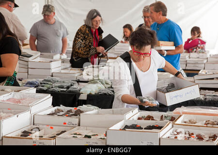 Denver, Colorado - Colorado Mineralien und Fossilien zeigen. Stockfoto