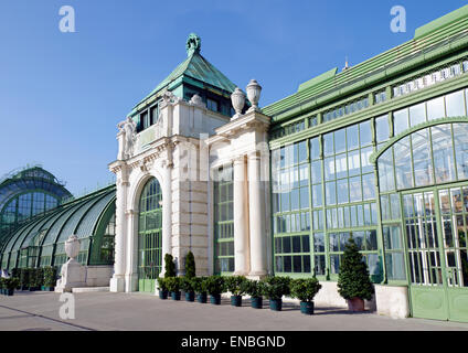 Das Glas Palmenhaus im Garten Wien, Österreich Stockfoto