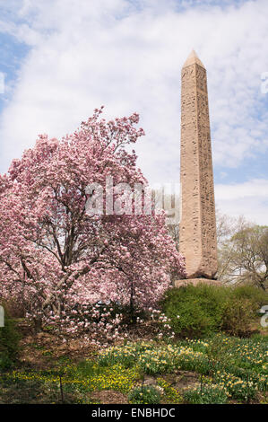 Frühling-Ansicht des ägyptischen Obelisken im Central Park, New York, USA Stockfoto
