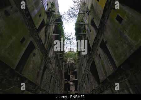 Bodmin Jail, Cornwall, UK. Erbaut im Jahre 1779. Diese Bilder sind von der Naval Gefängnis-Abschnitt. Sehr atmosphärisch, offenbar spukt! Stockfoto