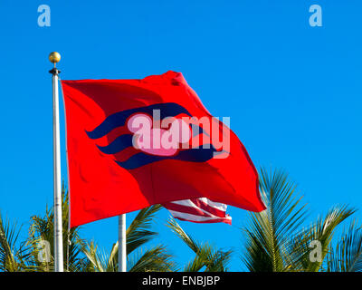 Die Disney Cruise Ship Terminal am Cape Canaveral Florida FL Stockfoto