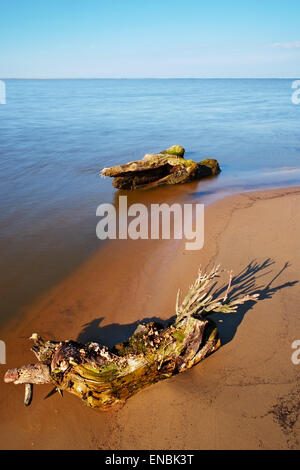 Seelandschaft mit Treibholz am Strand. Ostsee Küste, Pommern, Nordpolen. Stockfoto