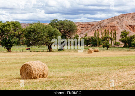 Straße von Molinos nach Cafayate. Valles Calchaquies, Salta, Argentinien. Stockfoto