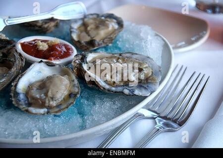 Austern über das blaue Eis servieren. Stockfoto