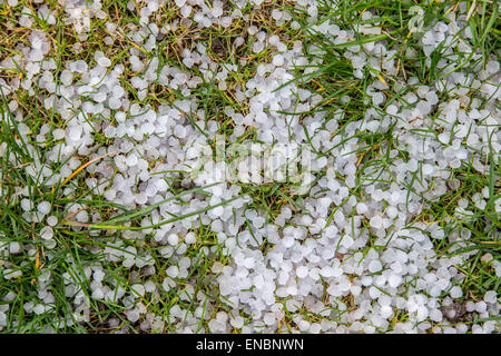 Die Stücke von Hagel auf dem Rasen Stockfoto