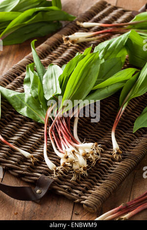 Rohe Bio grüne Rampen Ready to Cook mit Stockfoto