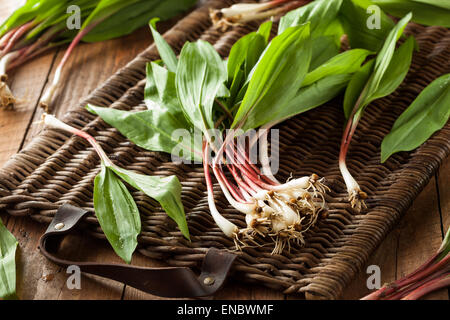 Rohe Bio grüne Rampen Ready to Cook mit Stockfoto